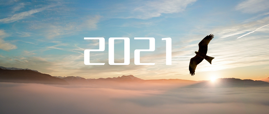 乘“峰”而上，智“盈”未来 ——2021年bet8环境高级资深副总裁新年开工带头